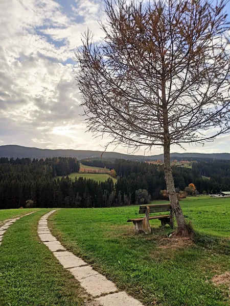 Buchinger Fasten Online-Fasten mit Online Unterstützung in vertrauter Umgebung