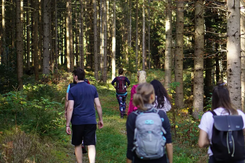 Naturwanderung in Wenigzell im Wald beim Basefasten im Hotel
