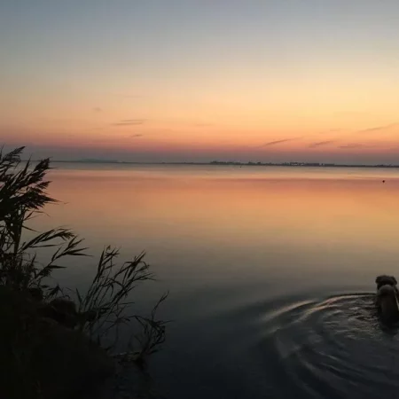 Abendstimmung_Blick_aufs_Meer_Strandhaus_Wiek