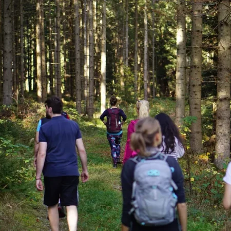 Naturwanderung in Wenigzell im Wald beim Basefasten im Hotel