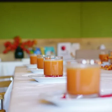 Gläser mit frisch gepresstem Saft – Symbol für das Wohlfühlpfade-Buchinger Fasten mit Säften und Brühe